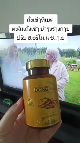 #ถั่งเช่าทิเบต 