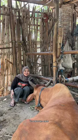 Sengkuni akan risau ketika sudah tidak bisa mengendalikan mu🤣 #ocik #ocikngaret #kediri24jam #sobatngaret #deliwafastore 