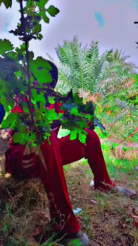 #ولايه نهر النيل#محليه ابوحمد #رباطاب ي رسول الله #رباطاب ابوحمد