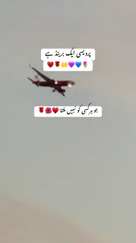 #viral #foryou #trending 