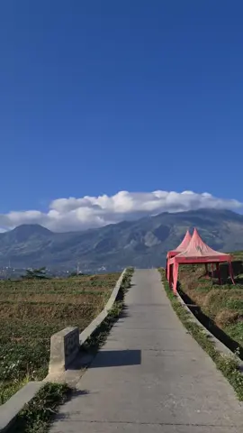 Vibes trawas pagi hari🍃 #trawas #mojokerto #fypageシ #xybca #fyp 