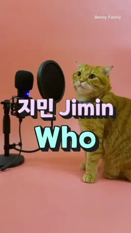 베니의 ‘Who’ - 지민 (Jimin) cover by Benny the Cat 😻💜 #jimin #bts #지민 #who #방탄소년단 #kpop #bennyfamily #베니패밀리 #고양이 #cat #bennycat #viral @BTS 