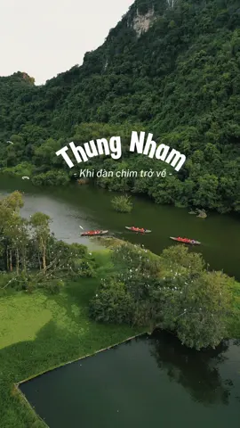 Lần đầu tiên được ngồi thuyền lúc chiều muộn, ngắm chim đi kiếm ăn từng đàn bay về rợp trời. #ninhbinh #thungnham 