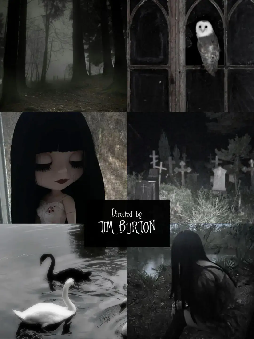 #us fr ౨ৎ #bestfriend #doll #dark #gloomy #coquette #TimBurton #sofiacoppola 