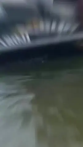 She got it 😍 #jetski #marina  #seaside  #fyp #blessings  #lawsofattraction  #palops🇦🇴🇲🇿🇸🇹🇨🇻🇬🇼  #gratidao  #enjoylife  #luanda  #mussulo  #angola🇦🇴 