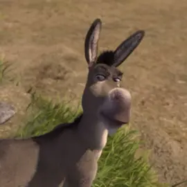 Best duo #SHREKANDDONKEY- #shrekanddonkey #shrek #donkey #shrek1 #edit #duo #besties #bff #fypツ #fyp #aura #xyzbca #dontflop #movie #fyppp #edits #tvgirl #fypage #fyppppppppppppppppppppppp #viral #shrekmeme #bsf 