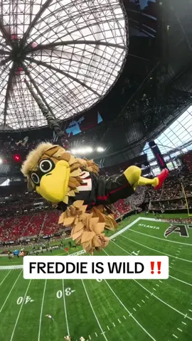 Freddie Falcon, the Guinness World Records Title Holder for the highest indoor rope swing drop! #guinnessworldrecords #stunt #jump #wild 