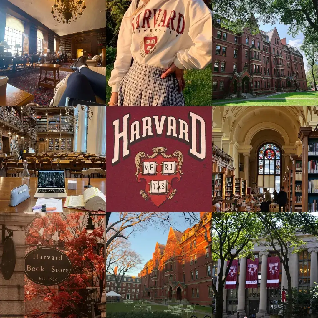 #cambridge #havard #oxforduniversity #nyu #stanford #yaleuniversity #princeton 