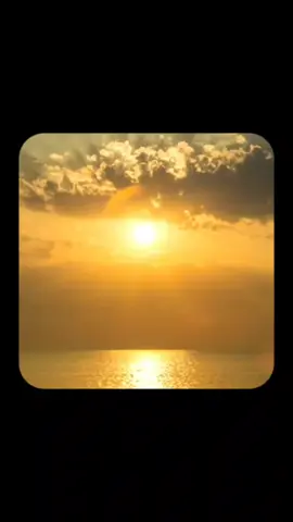 Depredadorcore🙏 #hopecore #hopecoretiktok #humor #core 