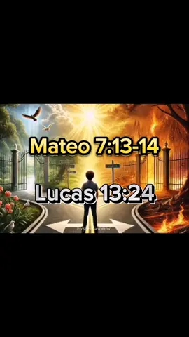 Mateo 7 :13-14 Los 2 caminos. #biblia #Jesus #Dios 