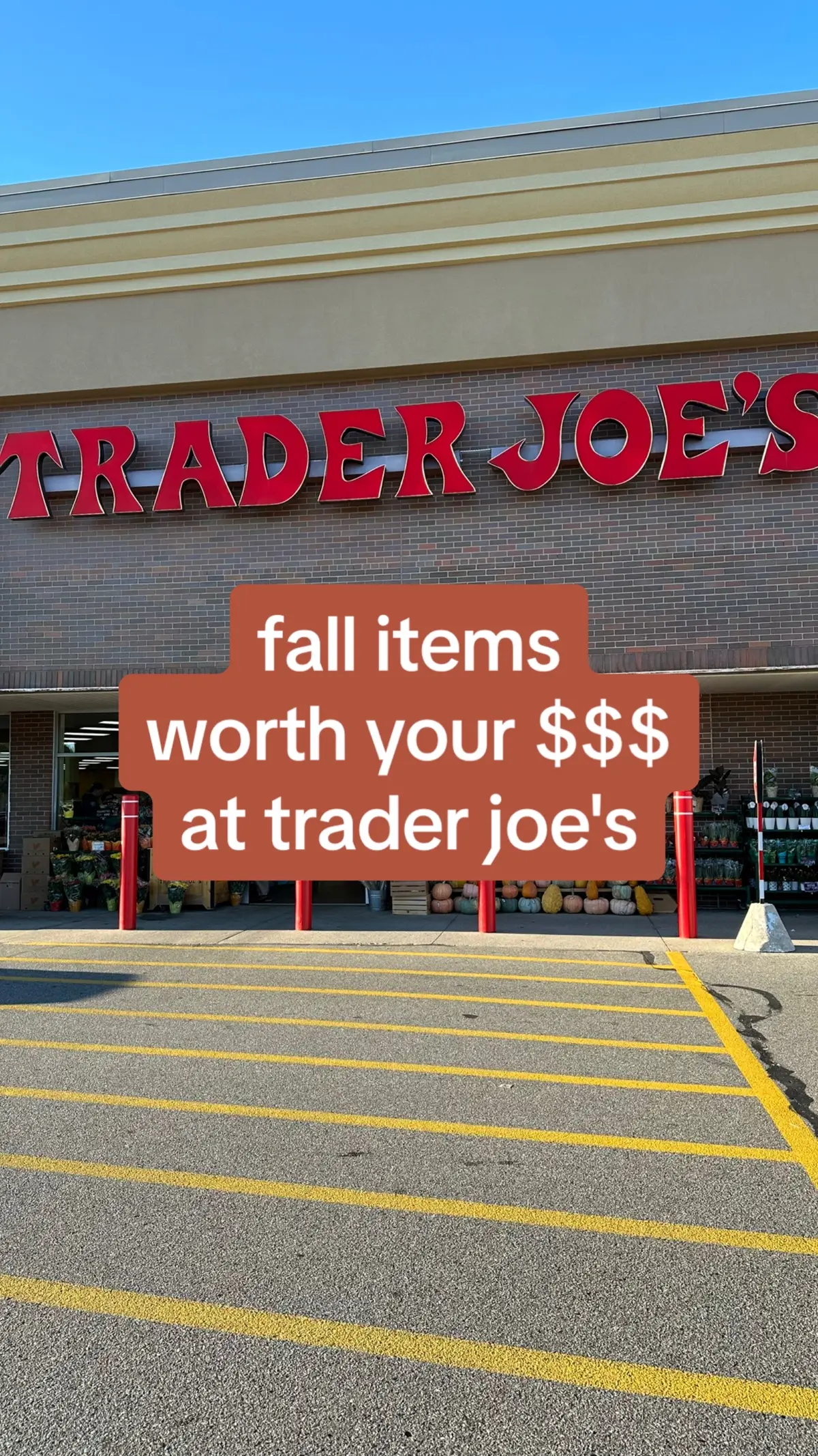 Some of the fall items at trader joe's that are actually worth buying ✨ #traderjoesfoodreviews #traderjoeshaul #traderjoes  
