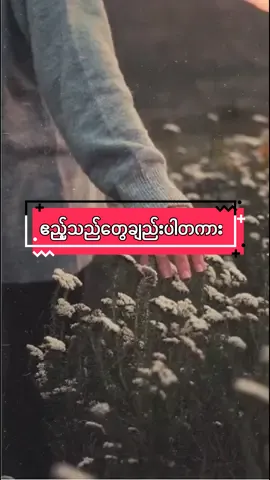 #လာတုန်းကလည်းတစ်ယောက်ထဲနော် # #ပြန်သွားတော့လည်းတယောက်ထဲပါ # #ပြန်လည်မျှဝေပေးတာပါ🤜🤛🤝 # #သံဝေဂရပါစေခြင်းအလို့ငှာ # #photocredit #foryoupage #myanmartiktok2024🇲🇲🇲🇲💞💞💞 #capcut #inshot 