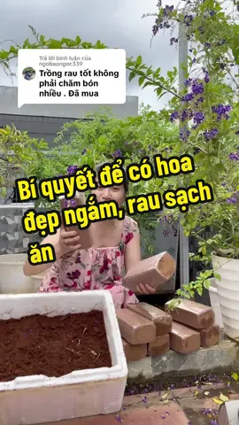 Trả lời @ngobaongoc339 xơ dừa trồng hoa, trồng rau, trồng cây cảnh đều tốt ạ. Viên nén 500g #trinhlunglinh3 #viennenxodua #mundua #xodua #xuhuongtiktok2024 