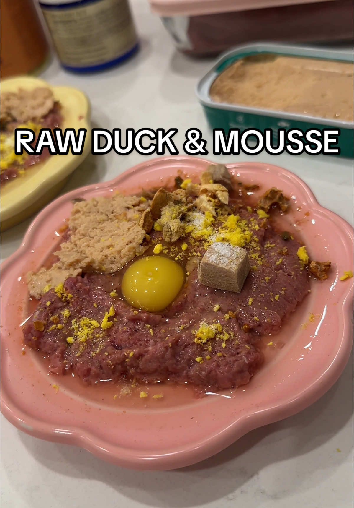 Once again, Beau is refusing the quail egg and Bellie ended up eating it LOL pls stop coming at me when Bellie ate Beau’s quail egg last time 🥹😭 I promise he doesn’t want it and I wouldn’t let her eat it knowing he wants it 🥹  🦆 @Viva Raw duck for cats 🥩 @Open Farm Pet beef bone broth & arctic char mousse 🦪 @Woof meow green mussel 🦆 @Skylar Treats duck cubes 🎃 @Arya.Sit pumpkin yogurt 🥣 @Adored Beast Apothecary healthy gut #catfood #catlovers #rawfood #rawdietforcats #rawfedcats #cats_of_world #catmukbang #ragdoll #britishshorthair #feedmycats #catasmr #catnutrition 