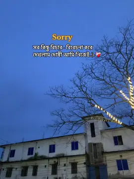 Sorry সব কিছু বিচার বিবেচনা করে দেখলাম দোষী আমি নিজেই..#foryoupage #tiktokindia #tiktok #foryou #foyyyyyyyyyyyyyyy 