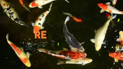 Remember Summer Days - Anri #core #vibe #music #song #fyp #foryou #real #japan #aesthetic #explore #citypop 