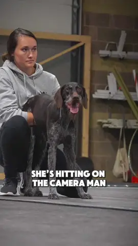 This dog is the rizzler @Snack 