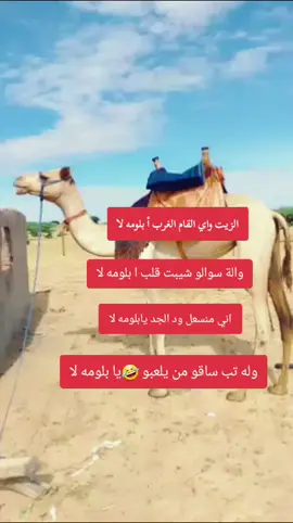 #كبابيش_العز  #كبابيش_العز_كباشي_وافتخر  #كردافه_الناس_القيافه  #السودان_مشاهير_تيك_توك🇸🇩  #الشعب_الصيني_ماله_حل😂😂 