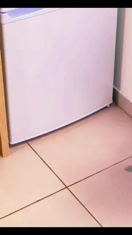 #craft #crafts #papercraft #5 -minutecrafts #5minutecraft #5minutescraft #craftideas #craftshorts #easycraft #crafty #origamicraft #craftwork 