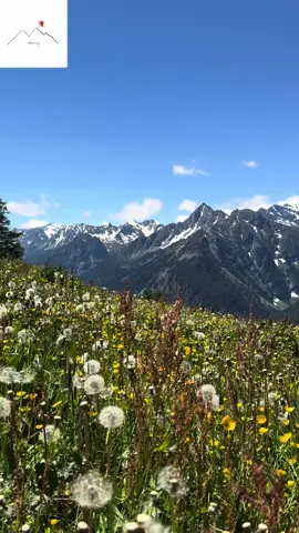 Randonnée en valais #valais #suisse #suisse🇨🇭🇨🇭🇨🇭switzerland #suisse🇨🇭 #merveille #beautedelanature #hikingadventures #etatsunis #norvege #england🇬🇧 #chinatiktok 