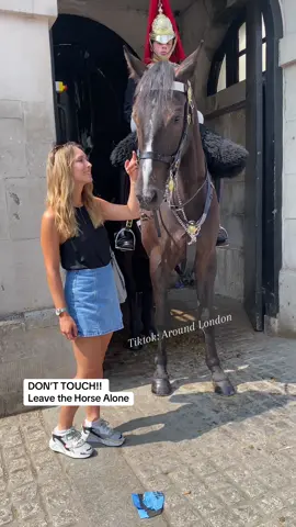 Don’t Touch!! Leave The Horse Alone.  Tourists!! 