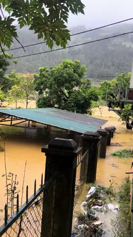 Si ma cai thấp thủ…!