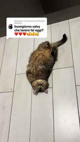 Risposta a @Daniel Baraldo 