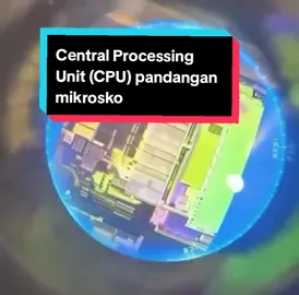 Central Processing Unit (CPU) di bawah mikroskop, dengan sehelai rambut sebagai rujukan saiz, menunjukkan betapa hebatnya miniaturisasi teknologi moden. CPU ini, yang hanya beberapa milimeter, mengandungi berbilion transistor yang menjalankan tugas kompleks dalam telefon pintar anda. Perbandingan dengan sehelai rambut, yang berukuran sekitar 50-100 mikron, menekankan betapa kecilnya cip ini. Ini menunjukkan kemajuan luar biasa dalam teknologi semikonduktor, membolehkan pengkomputeran berkuasa dalam ruang yang kecil, mengubah cara peranti berfungsi hari ini