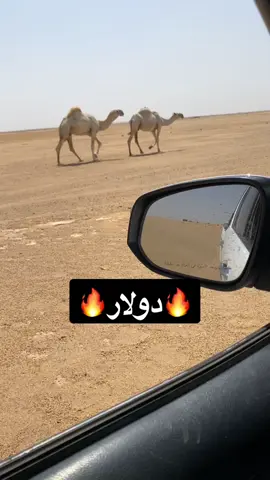 #اكسبلورexplore #البل #foryoupage #CapCut #دولار #foryou #foryou #foryou #foryou #الصياهد_رماح #محظور_من_الاكسبلور🥺 #مالي_خلق_احط_هاشتاقات🧢 #محظوره_من_المشهدات_ولاكسبلور #محظورة_من_كلشي😫💔 #مالي_خلق_احط_هاشتاقات #الصين_ماله_حل #foryoupage 