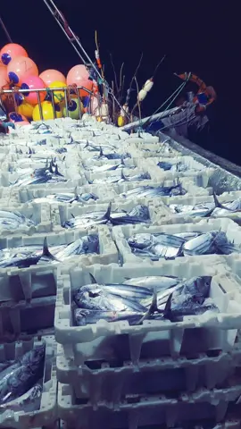 #الجميع #طرفاية_الصحراء_المغربية🇲🇦🇲🇦 