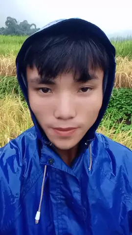 cơm mưa mèn mén #xuhuong #vietnam #dienbienphu 