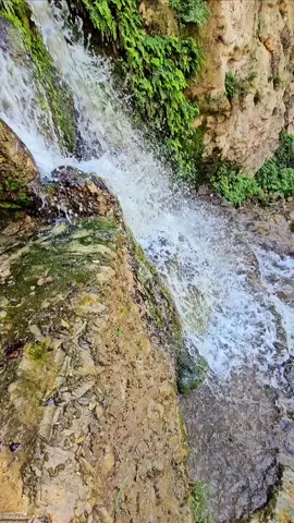 #وادي_الريان #الاردن #تصوير_اليوم #تصويري #الطبيعه_اجمل_شي_للراحه_النفسيه #يلعب_بقليبي 