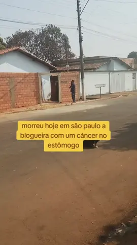 #jovelinaLameu #Lameuforyou 