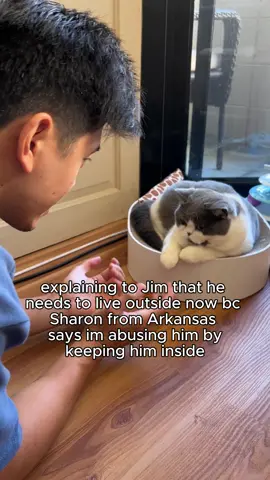 thank you Sharon from the internet for your expertise   #cat #cats #sillycat #catmeme  #catvideos #sillycats #catmemesdaily #unusualvideos #catmemes  #funnycats#cutecats #wholesomecats #dailycats