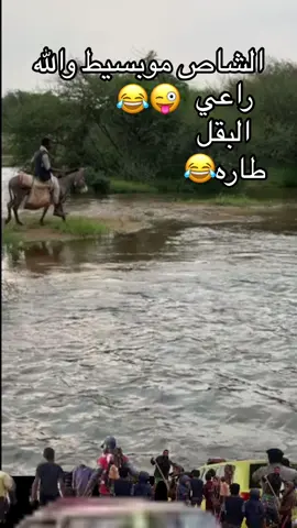 #yahyaghbshan راعي الشاص😂