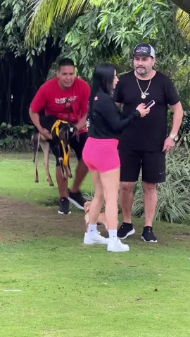 Cambiando mascota 🐶🐐 la cabra #viralvideo #foryou #parati #bromas 