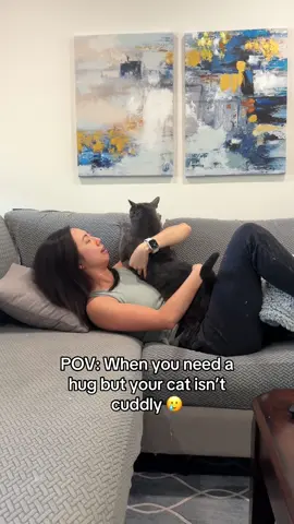 This is why I have 4 cats. Higher probability of someone willing to snuggle instead of run away or hide under furniture 😂 #catsoftiktok #cat #cats #funnycat 