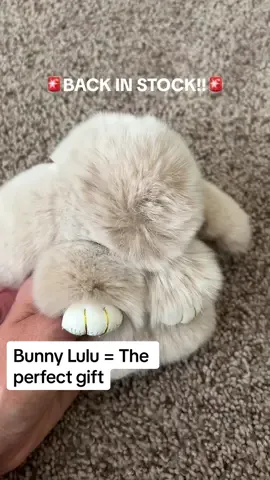They are back!! Grab them while they are in stock! All the colors!! @BUNNY LULU #bunnylulu #keychain #gift #cuddles #bunny #giftideas #backinstock #socute 