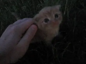 it's youu