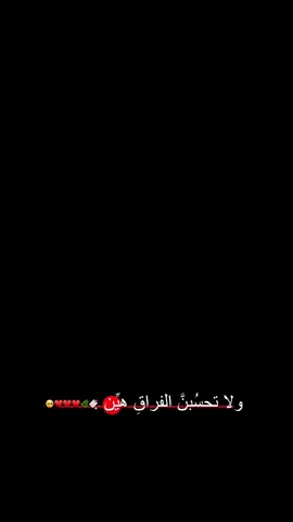 #شتاات📮_fypシ゚vira 