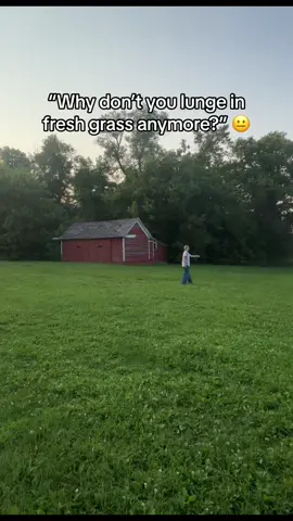 PIMP DOWN!! PIMP IN DISTRESS 😩 #equestrian #horses #fypシ゚viral #pferd #horsesoftiktok #funny 