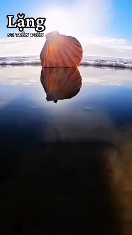 #longervideos #nhachaymoingay #nhachaytiktok #nhacchill #nhactiktok #nhacbuon #Xuongrongden 