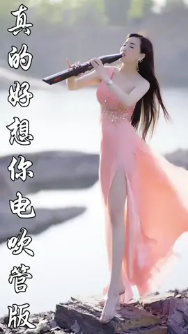 Tôi thực sự nhớ bạn | sáo điện tử cover #viral #tik_tok #saodientu #akaiewi5000