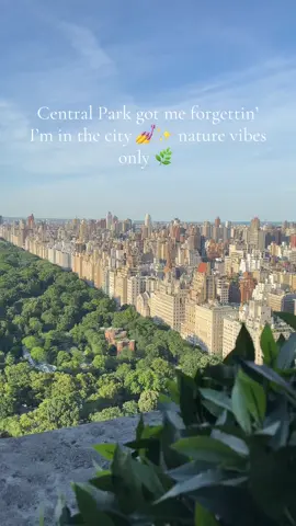 #nyc #ny #centralpark #darling #usa #ньюйорк #nature #америка 