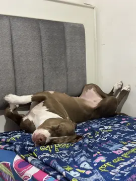 A dormir 🤭🫶🥰 #tyra #tyralapitt #viral 