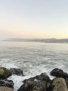 I love the beach 🐚🫧 #beach #livephoto 