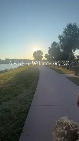A week in Carolina beach/Wilmington NC 🏝️  #wilmington #wilmingtonnc #wilmingtonnorthcarolina #carolinabeach #northcarolina #beach #Vlog #indochine #blueberrygrill #forkncork #southportnc 
