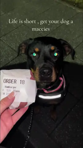 She was very excited to say the least lol #rottweilersoftiktok #dogsoftiktoks #rottweilerlove #dogmumlife❣️ #dogs #rottweiler #rottiesoftiktok #rottie #dogsforyoupage #souldog #dogmumlife #dogsoftiktok #nala #dogmumsoftiktok 