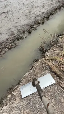 Xong rùi nha ông ơi nhớ trả tiền nha🥰😘😘😘