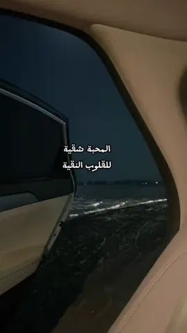 المحبة شقية للقلوب النقيه #بدون_موسيقي #اكسبلورexplore #foryou #fyp #بلقيس #بلقيس_فتحي 